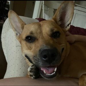 Meet your Posher, Malerie